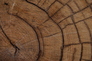 Fototapeta premium wood texture background