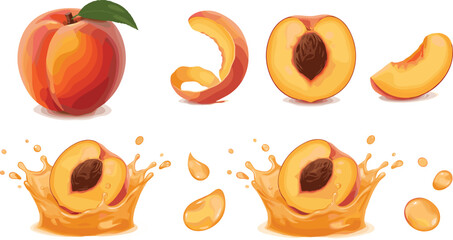 Fresh Peach Fruit Vector Set with Whole Slices Peel and Liquid Juice Splashes isolated on White Background for Packaging and Advertising Designs © Hosneara