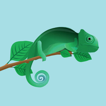 Green Chameleon Resting on a Tree Branch Illustration