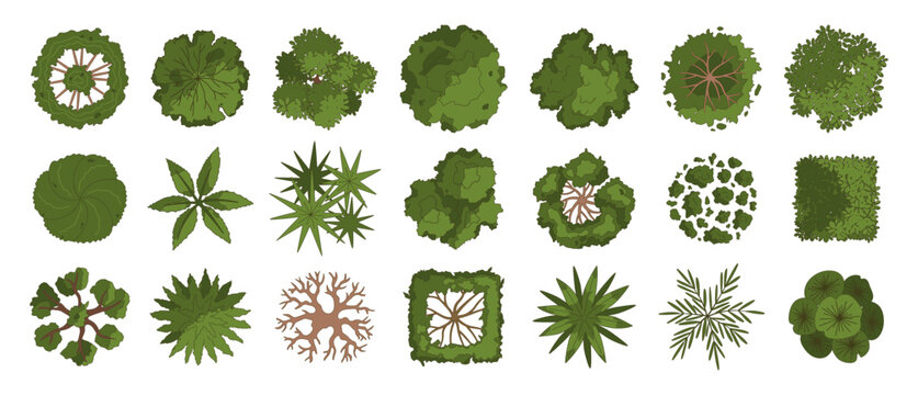 Top view trees. Architectural plans plant. Line landscape design elements, various green trees, bushes, plants for city architectural entourage space. Vector collection