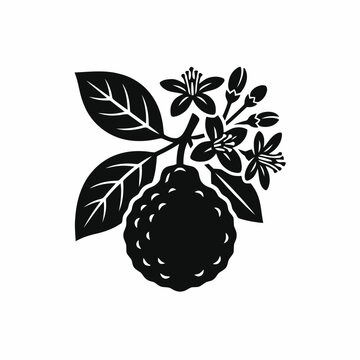 Bergamot Fruit Branch Black and White Icon. Citrus Fruit with Leaves and Flowers Vector Illustration.