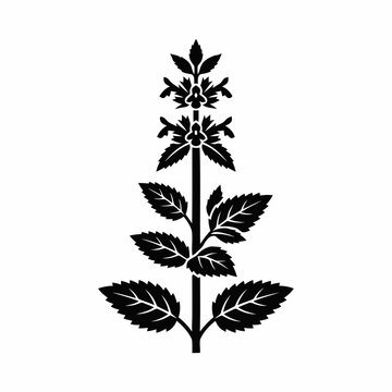 Stylized Black Silhouette of a Blooming Mint Plant