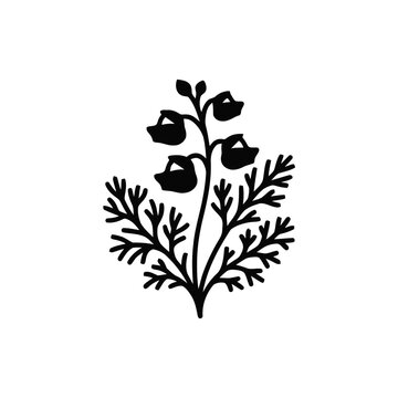 Elegant Black Silhouette of a Delicate Flowering Plant Branch on White Background