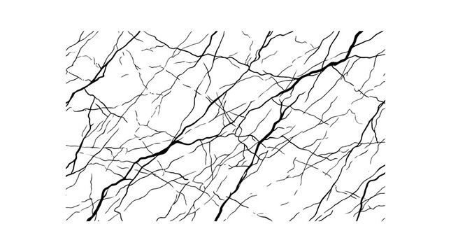 Abstract Black Cracks Pattern on White Background
