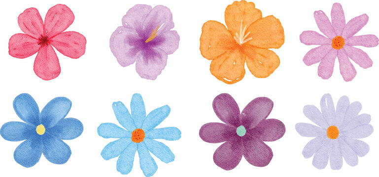 hand draw flower floral botanica with watercolor paper texture group set