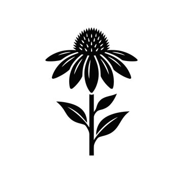 Black and white silhouette of a coneflower, echinacea plant icon, isolated on white background.