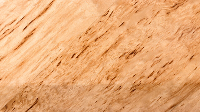 varnished surface of natural karelian birch plank