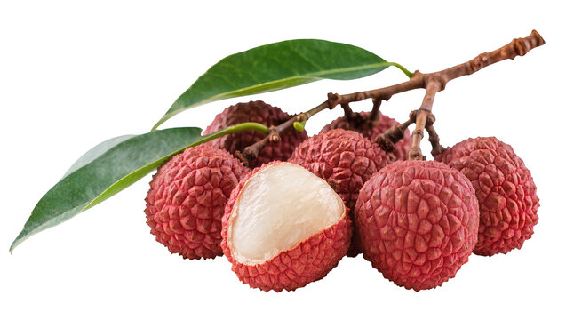 Cluster of ripe red lychee fruits with green leaves one peeled open, isolated on transparent background