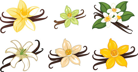 Obraz premium Vanilla Flower and Pod Vector Icon Set Featuring Orchid Blooms Sticks and Green Leaves for Fragrance Aromatherapy Baking Sweet Dessert and Cosmetic Packaging Designs
