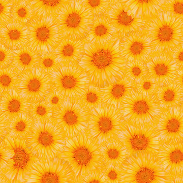 Yellow marigold flowers seamless pattern for summer event decoration and textile packaging