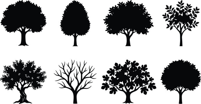 Deciduous and fruit tree silhouette icons set featuring various leafy canopies branches and bare winter tree shapes for landscape design