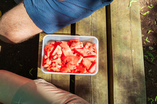 Fresh watermelon in reusable container on wooden bench after forest walk
