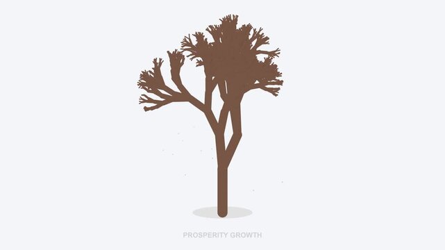 Animated growth of a desert tree from sprout to maturity