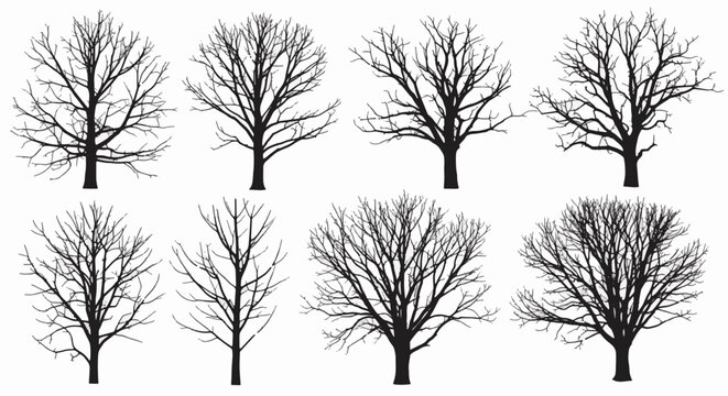Collection of eight high-detail black silhouettes of leafless trees and bare winter branches isolated on a white background, featuring diverse trunk shapes and intricate twig patterns.