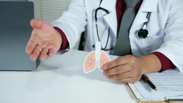 A doctor holds an anatomical model of a lung, explaining lung disease and damage. Lung cancer, pulmonary alveolar proteinosis. The concept of care and treatment of lung disease.
