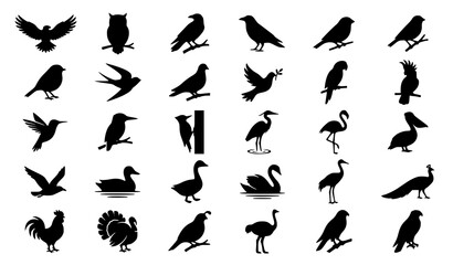 Fototapeta premium Nature Bird Icon Bundle with Wildlife Animal Silhouettes Flying Poses and Minimal Vector Symbol Collection