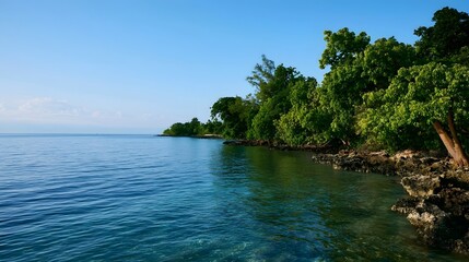 Fototapeta premium A serene tropical shoreline where lush green trees meet calm blue waters under a clear sky