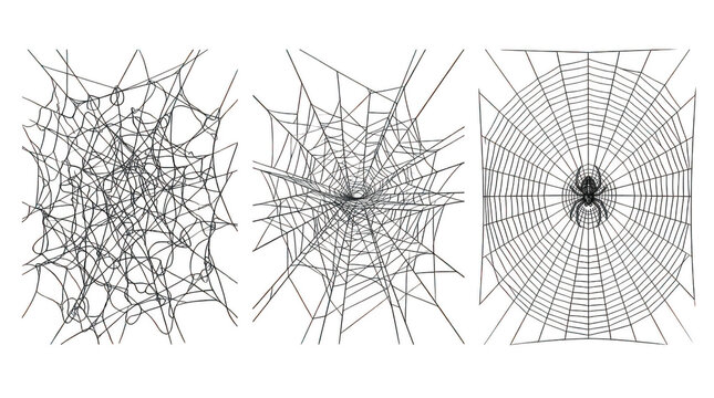 Three different styles of spider webs isolated on transparent background