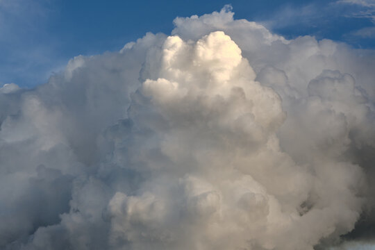 Thick dramatic cumulus clouds fill blue sky before storm, backlit by warm golden sunlight.
