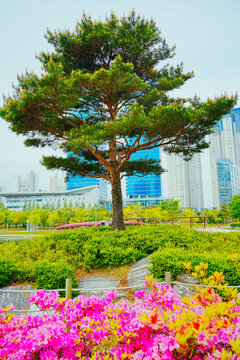 Songdo, Incheon, South Korea; 05 04 2025: The beautiful landscape of Central park of Songdo island International Business District (Songdo IBD) in South Korea. It is connected to Incheon International