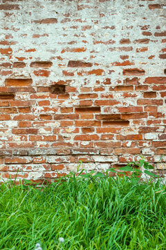 Green grass contrasts rough facade of the old red brick wall with weathered texture