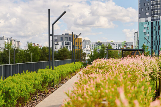 Modern residential complex with green spaces. Landscaping in the city. Urban environment with plants and architecture.