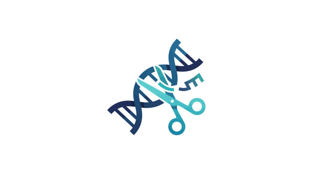 Genetic engineering concept illustration shows DNA helix with scissors cutting through