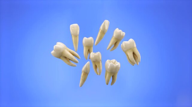A group of realistic 3D human teeth models with roots floating in slow motion against a vivid blue studio backdrop. Designed for dental clinic advertising, oral hygiene commercials, dentistry educatio