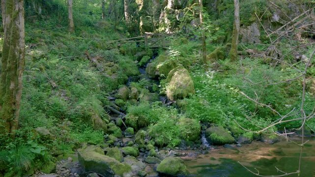 petit ruisseau se jetant dans une rivi&egrave;re au milieu de la for&ecirc;t dans les Vosges