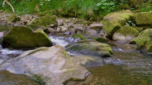 Rivi&egrave;re de montagne qui coule au milieu des rochers et d'une v&eacute;g&eacute;tation foresti&egrave;re dans les Vosges