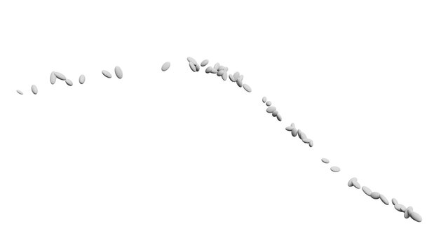 Scattered White Rice on White Background