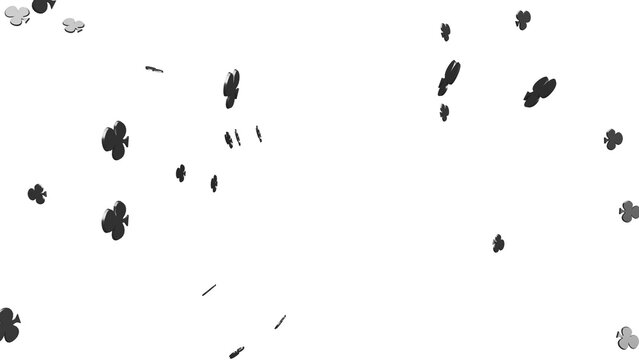 Abstract Black and White Flower Petals