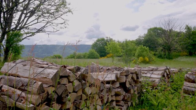 Tas de bois au milieu d'une prairie d'altitude dans les montagnes vosgiennes