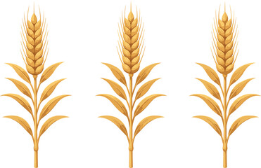 Obraz premium Golden Wheat Ears Vector Illustration with Grain Stalks and Leaves Set for Agriculture, Bakery, Harvest, and Organic Food Designs