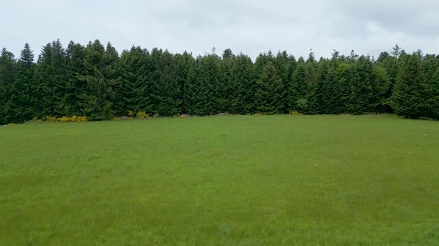 Survol d'une for&ecirc;t de conif&egrave;re et d'une prairie d'altitude dans les Vosges dans la r&eacute;gion du Girmont Val d'Ajol