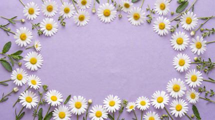 Fototapeta premium White Daisy Flowers Arranged in Circular Flat Lay on Lavender Background