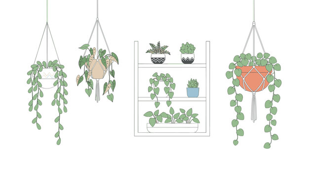 Indoor plants arranged on a shelf and hanging macrame planters to create a cozy green home garden and interior decoration style.