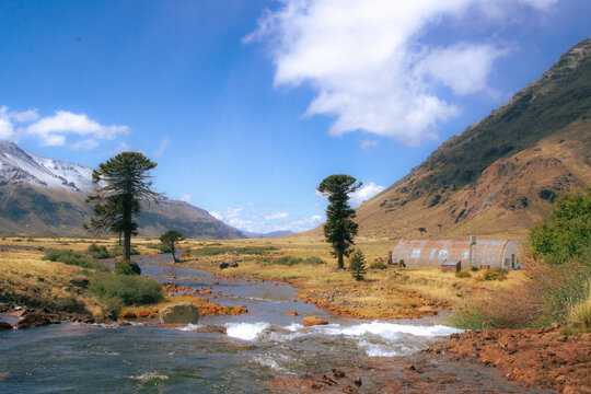 Remote valley with araucaria trees, rustic quonset hut and iron-rich river, Patagonia Argentina