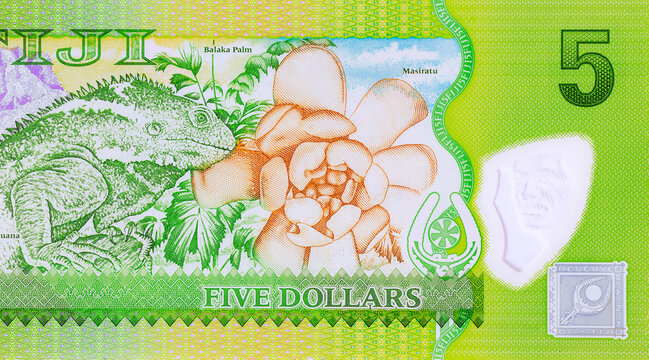 Five dollar bill from Fiji issue Reserve Bank of Fiji