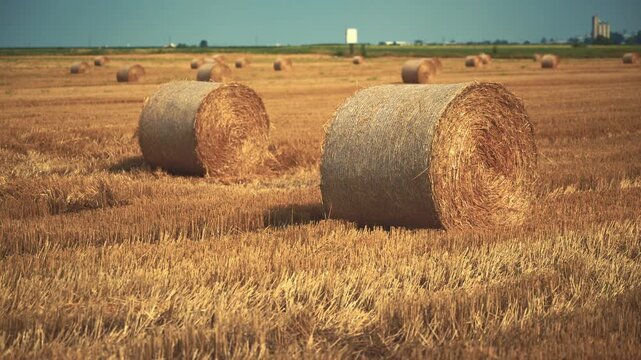 Golden straw bales scattered across a freshly harvested farmland. Agricultural production, sustainable farming and countryside scenery theme. 4K.