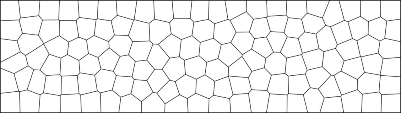 Abstract geometric voronoi cell pattern black and white vector background