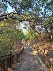 Fototapeta premium Scenic stone path through lush green forest with wooden railing