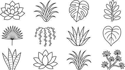 Obraz premium Minimalist Tropical Plant Outline Icons, Succulents, Houseplant Leaf Illustrations