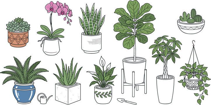 Potted house plants collection cute colored vector icons set including orchid fiddle leaf fig cactus and money tree.