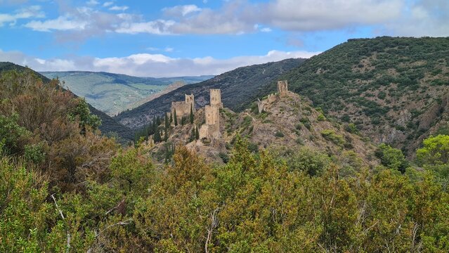 Les magnifiques quatre tours du ch&acirc;teau de Lastours vues depuis les massifs de buis de la colline voisine (Montagne Noire, Languedoc)