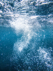 Fototapeta premium Air bubbles underwater rising to water surface, natural scene, bubbles under water, bubble undersea, sea in crystal clear green water. Real image very suitable for backgrounds, Great for background.