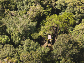 Naklejka premium Forest setting showing a small stone structure surrounded by trees