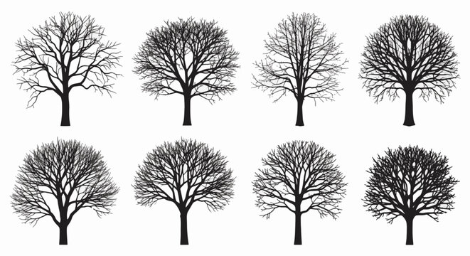 Set of eight diverse bare tree silhouettes featuring intricate branch structures and leafless forms isolated on white background, ideal for landscape or graphic design projects.