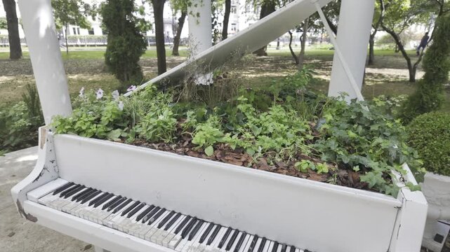 An old white grand piano serves as a decorative flowerbed with green plants inside. A white bench and stone columns stand nearby in the park.