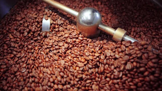 Roasted coffee beans cooling down in roasting machine tray
